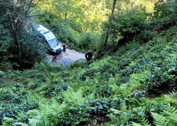 Çay keserken düşerek yaralandı