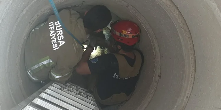 Bursa’da rögara düşen küçükbaş hayvanı itfaiye kurtardı