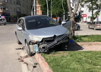 Elazığ’da otomobil refüje çıktı