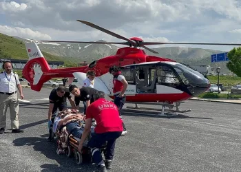 Arıların soktuğu hasta ambulans helikopterle Tatvan’a sevk edildi