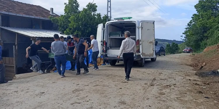 32 yaşındaki kadın tüfekle kendini vurdu