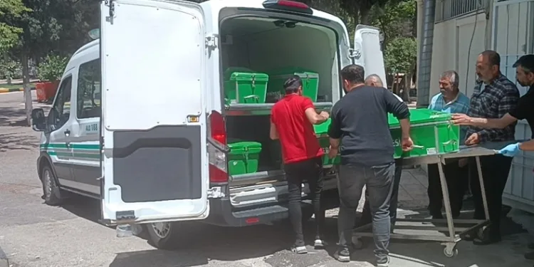 Para istediği dayısını olumsuz yanıt alınca öldürdü