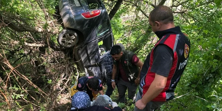 Otomobil şarampole devrildi: 2 yaralı