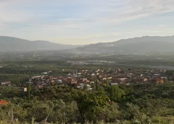 Bursa’nın bu köyünde uyuz vakaları arttı