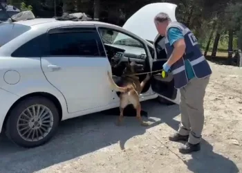 Narkotik köpeği zuladaki uyuşturucuyu buldu