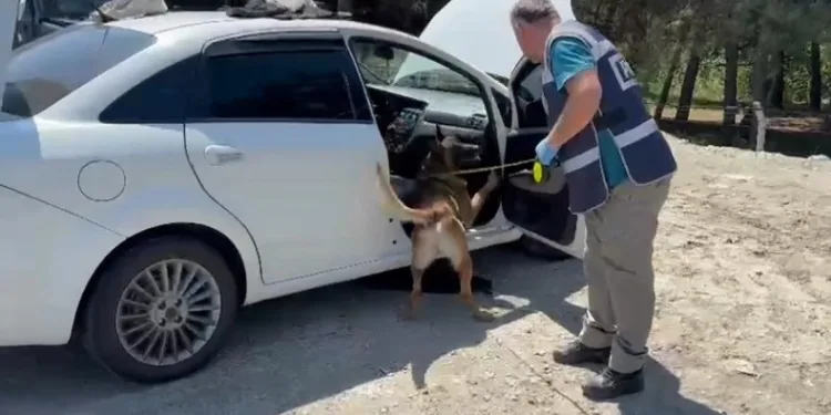 Narkotik köpeği zuladaki uyuşturucuyu buldu