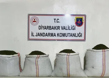 Diyarbakır’da 34 bin 500 kök kenevir ve 112 kilo esrar ele geçirildi