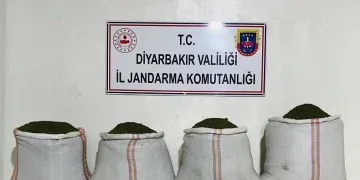 Diyarbakır’da 34 bin 500 kök kenevir ve 112 kilo esrar ele geçirildi