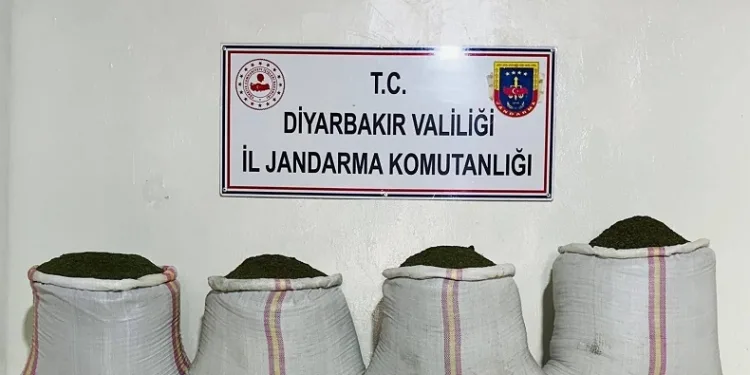 Diyarbakır’da 34 bin 500 kök kenevir ve 112 kilo esrar ele geçirildi
