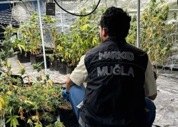 Uyuşturucu operasyonlarında 2 gözaltı