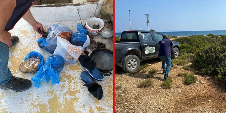 Didim’de kanuna aykırı avlananlar denetime takıldı