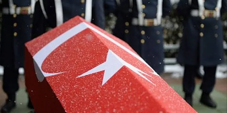 Van’da yıldırım çarpması sonucu 1 korucu şehit oldu