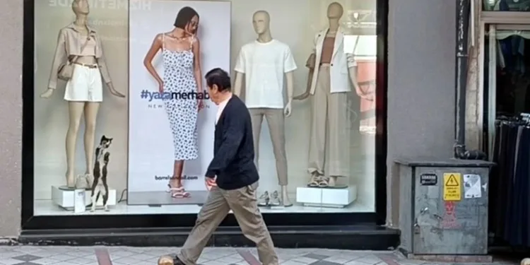 Mağazada mahsur kalan kedi camı tırmalayarak yardım istedi
