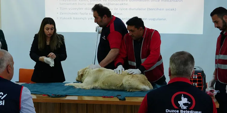 Sokak hayvanlarını yakalama ve toplama eğitimi