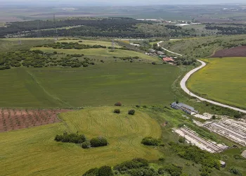 Güney Marmara’da bu yıl tarımda verim yüksek