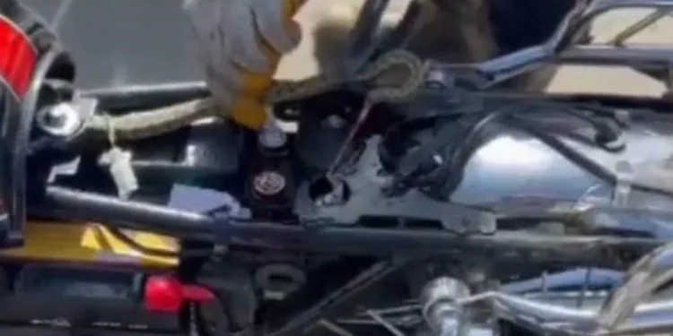 Motosiklete giren yılan, ekipler tarafından çıkarıldı