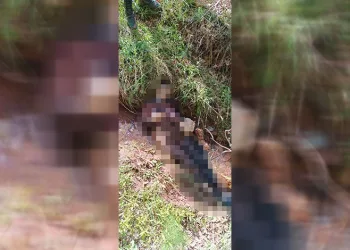 Kayıp vatandaşın cansız bedeni bulundu