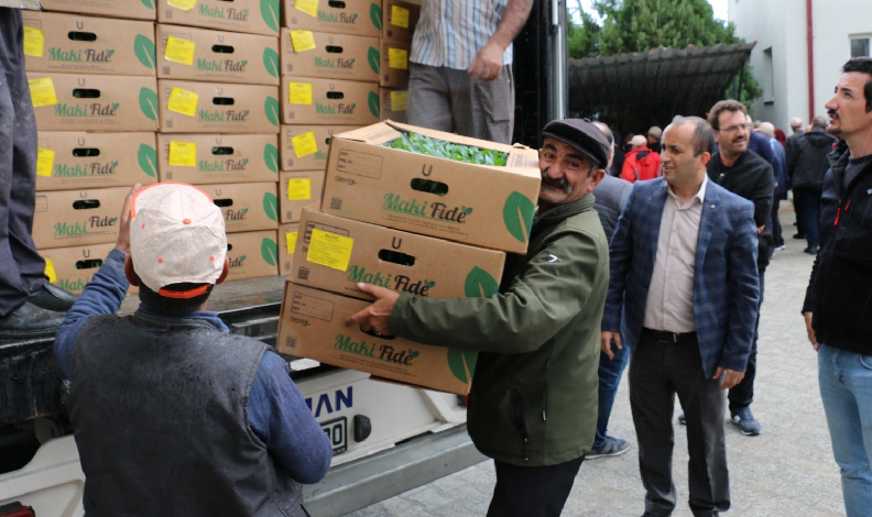 Çiftçilere fide dağıtıldı