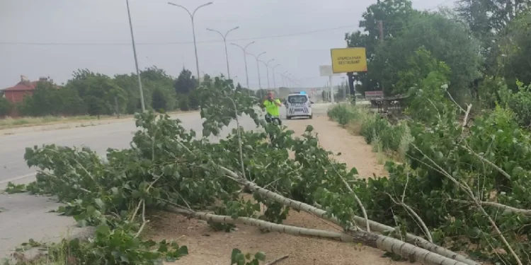 Afyonkarahisar’da kötü hava şartları hayatı olumsuz etkiledi