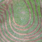 Terörün bittiği dağlar fidanlarla yeşillenecek