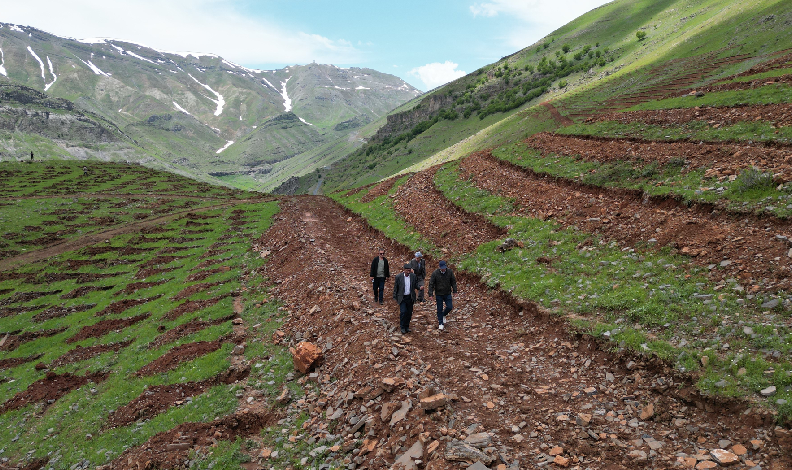 Terörün bittiği dağlar fidanlarla yeşillenecek