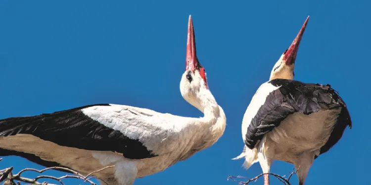 Genç Denizli’den Karma Fotoğraf Sergisi