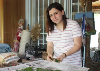 İpek böcekleri özenle besleniyorlar