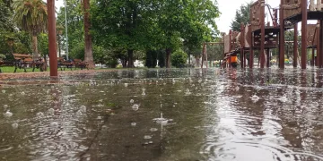 Samsun’da yağmur etkili
