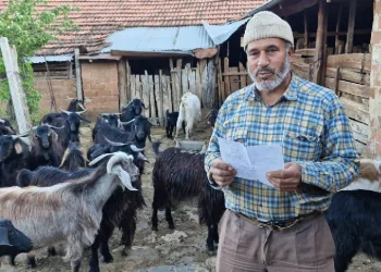 Keçilerini otlatırken şiir yazıp, türkü besteliyor