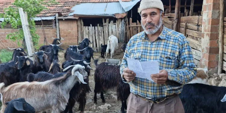 Keçilerini otlatırken şiir yazıp, türkü besteliyor