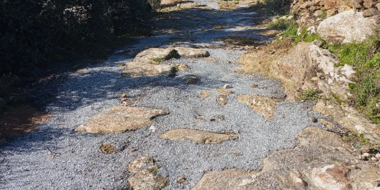 Antik yola beton döktüler