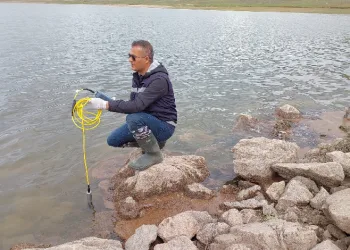 Balık ölümlerinin nedeni araştırılıyor