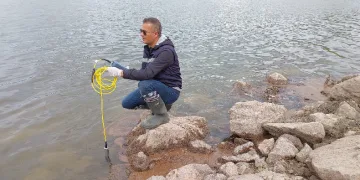 Balık ölümlerinin nedeni araştırılıyor