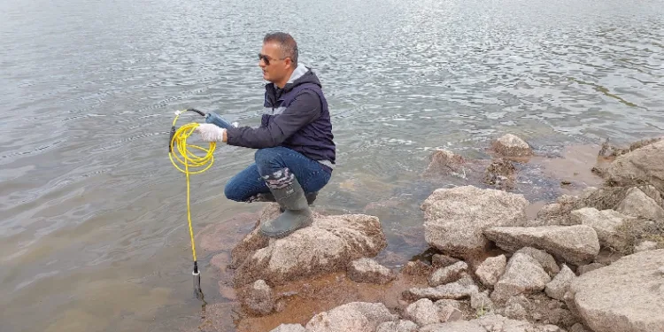 Balık ölümlerinin nedeni araştırılıyor