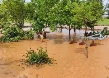 Şanlıurfa’da tarım arazileri sel altında kaldı