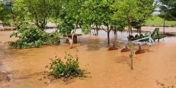 Şanlıurfa’da tarım arazileri sel altında kaldı