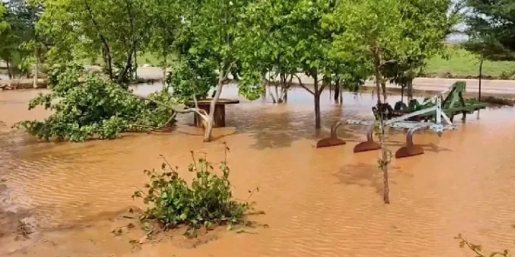 Şanlıurfa’da tarım arazileri sel altında kaldı