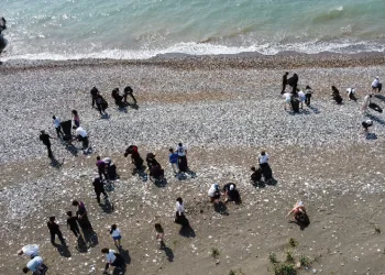 Carettaların yuvasını öğrenciler temizledi