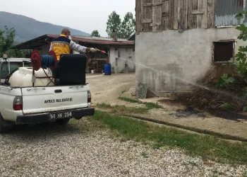 Akyazı’da sinek ve larva mücadelesi