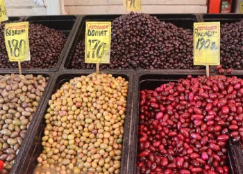 Zeytin zamları satışları düşürdü