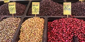 Zeytin zamları satışları düşürdü