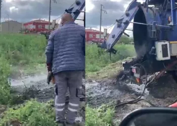 Tekirdağ’da çevre skandalı