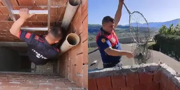 Mahsur kalan yavru güvercinler kurtarıldı