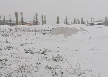 Özalp mayıs ayında kışı yaşadı