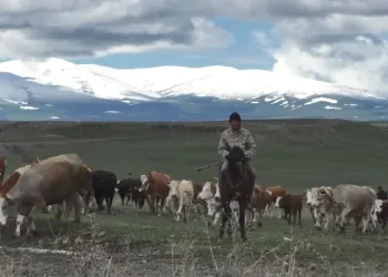 Kars’ta dağlar beyaza büründü