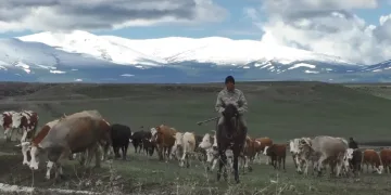 Kars’ta dağlar beyaza büründü