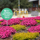 Milyonlarca çiçek toprakla buluşuyor