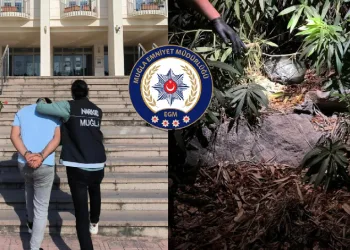 Uyuşturucu operasyonunda 2 gözaltı