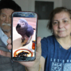 Kayıp papağan ‘Can’ aranıyor