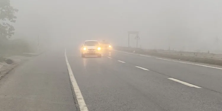 Sakarya güne sisle uyandı